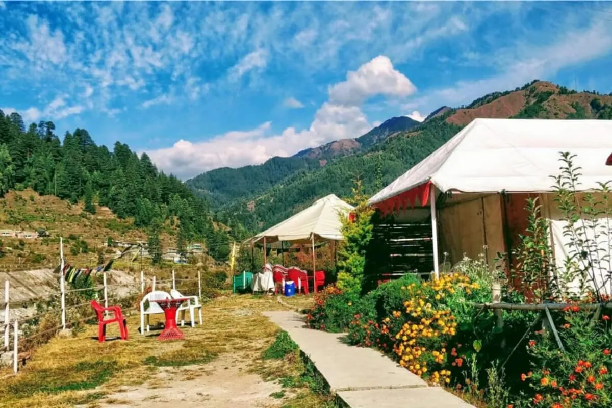 vacation in barot - Panchika Adventures