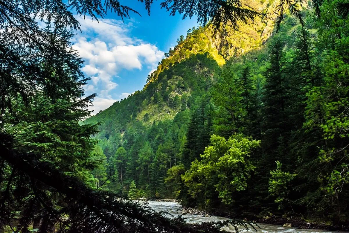Kasol - Panchika Adventures